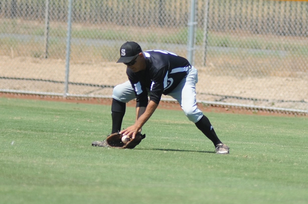 Seals_2019-08-25 (274).JPG - (c)2010 DeVetter